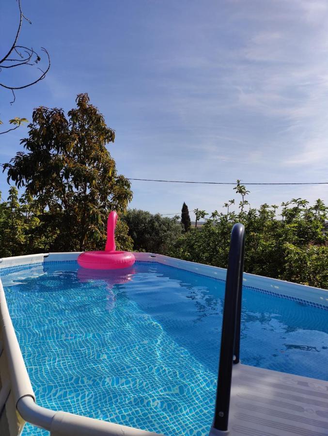 Casa Azul-Tiny House With Fantastic View, Big Outdoor Space And Pool Silves Ngoại thất bức ảnh